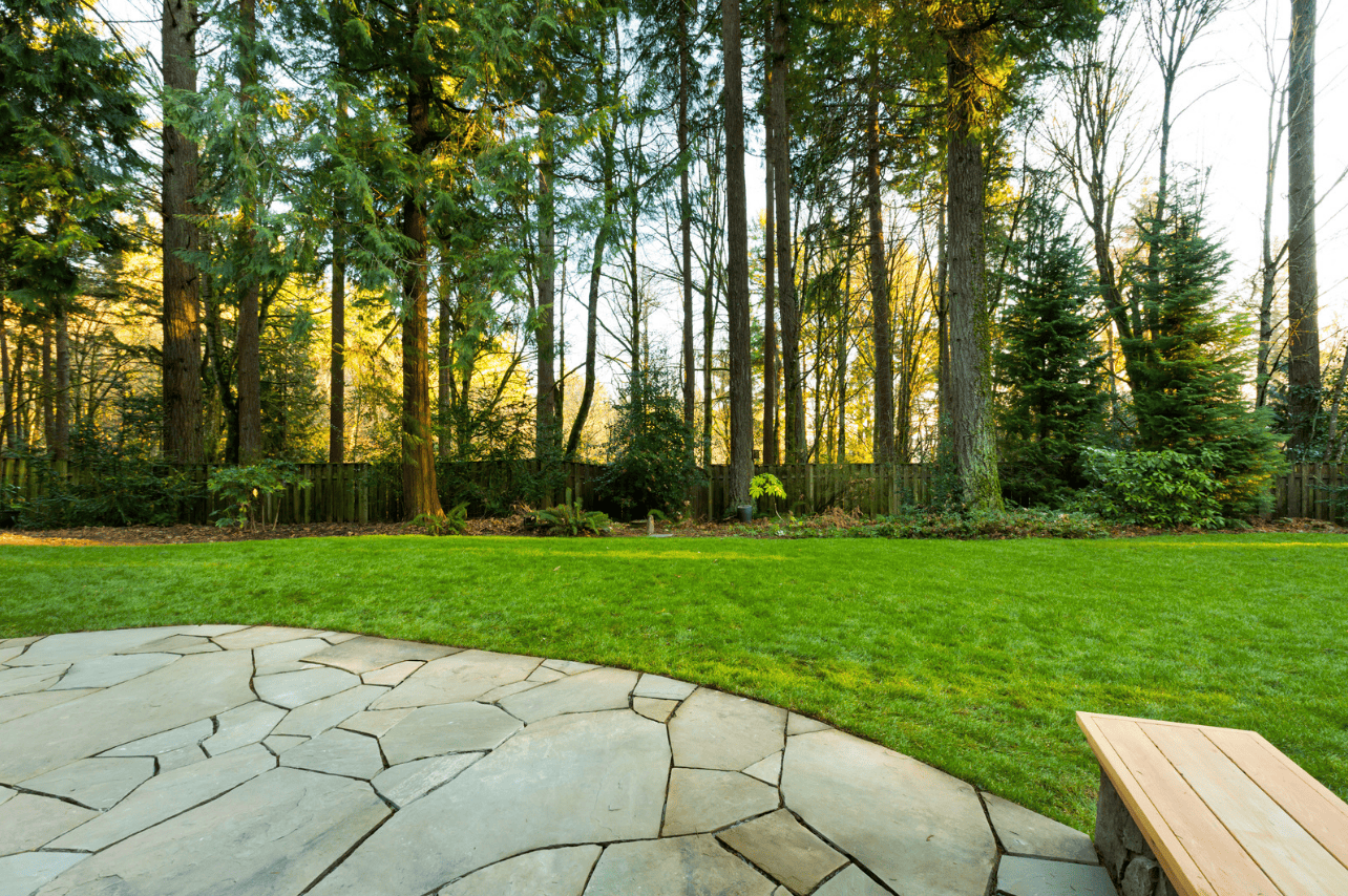 Nivellement de terrain avant pose de gazon a Brossard